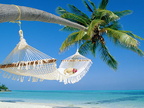 Leisure Travel